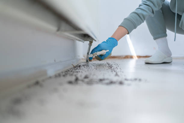 Pest Prevention Services in Beloit, KS